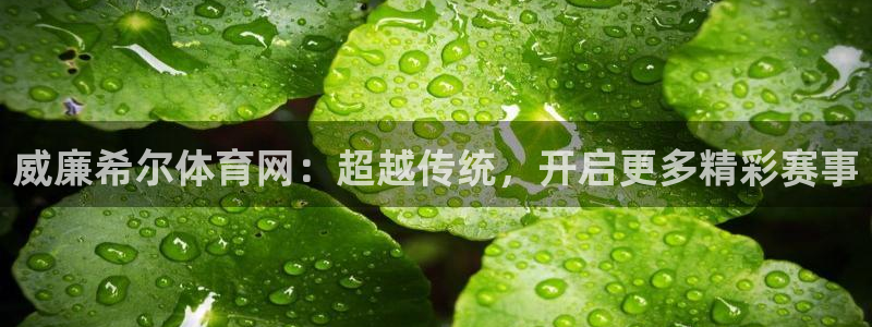 恒行体育3在线注册：威廉希尔体育网：超越传统，开启更多精彩赛事