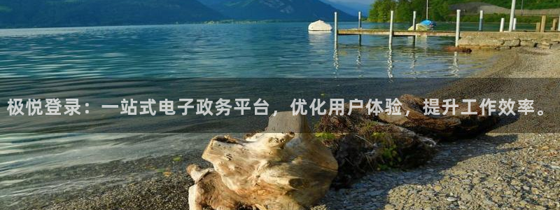 恒行体育凯捷登陆：极悦登录：一站式电子政务平台，优化用户体验，提升工作效率。
