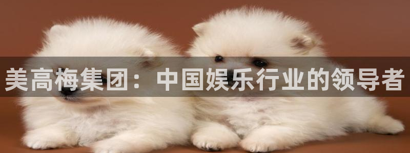 www.恒行体育.com：美高梅集团：中国娱乐行业的领导者