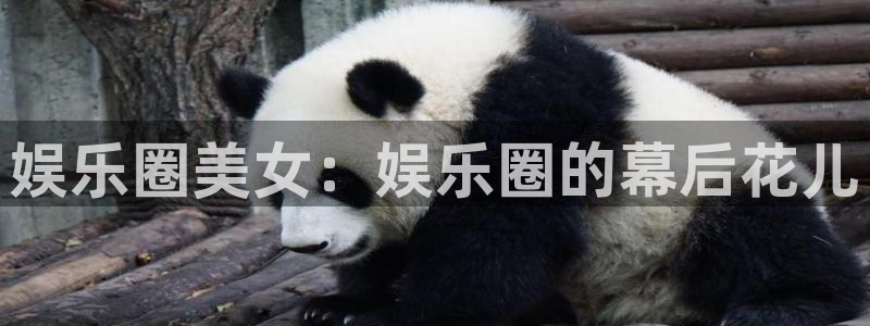 恒行登录界面入口：娱乐圈美女：娱乐圈的幕后花儿