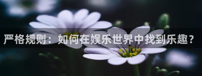 恒行平台总代理：严格规则：如何在娱乐世界中找到乐趣？