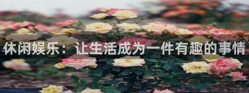 恒行凯捷平台：休闲娱乐：让生活成为一件有趣的事情
