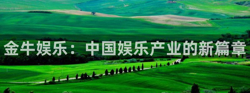 恒行体育2：金牛娱乐：中国娱乐产业的新篇章