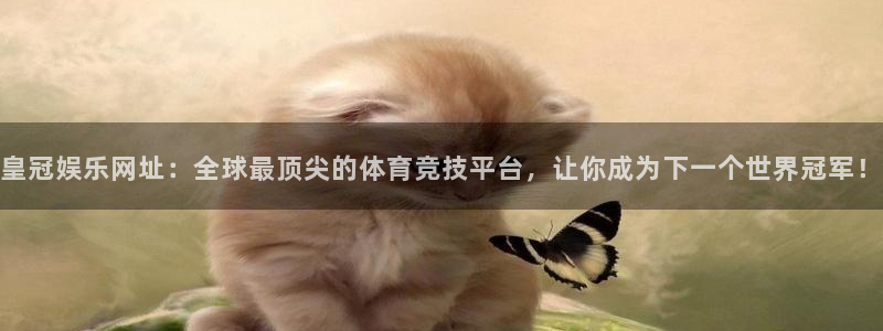 成都恒行电子有限公司：皇冠娱乐网址：全球最顶尖的体育竞技平台，让你成为下一个世界冠军！