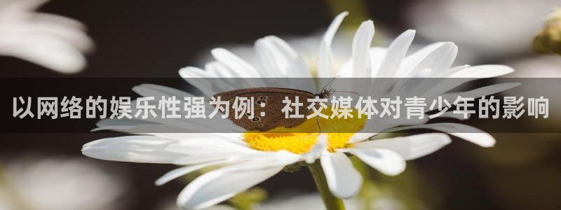 恒行体育注册代理：以网络的娱乐性强为例：社交媒体对青少年的影响