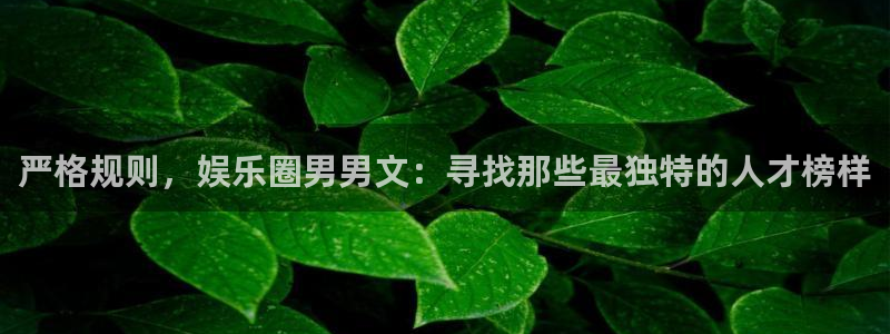 恒行体育4：严格规则，娱乐圈男男文：寻找那些最独特的人才榜样