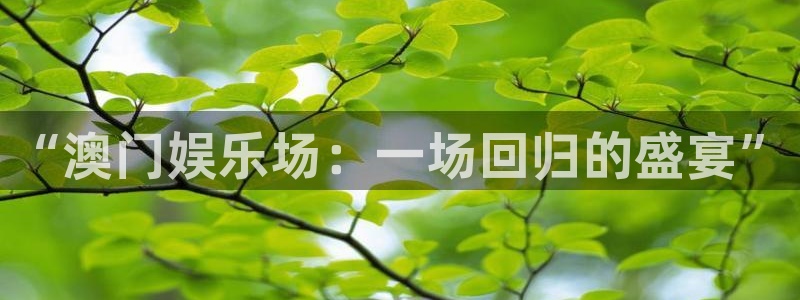 恒行5注册：“澳门娱乐场：一场回归的盛宴”