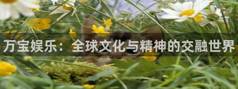恒行集团总部：万宝娱乐：全球文化与精神的交融世界