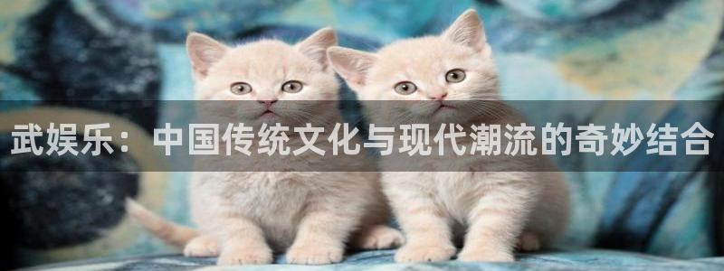 恒行4官网：武娱乐：中国传统文化与现代潮流的奇妙结合