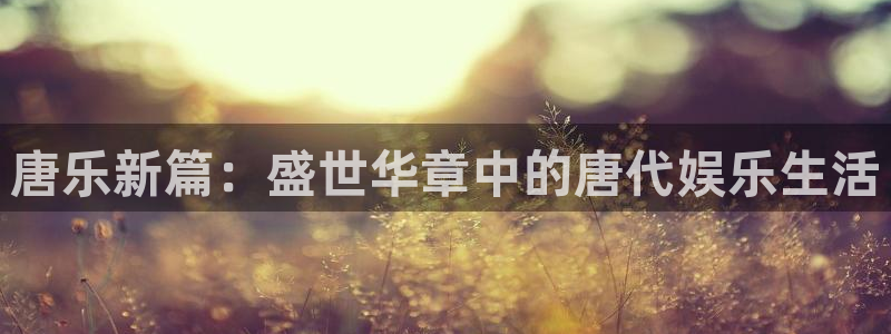 恒行环保：唐乐新篇：盛世华章中的唐代娱乐生活