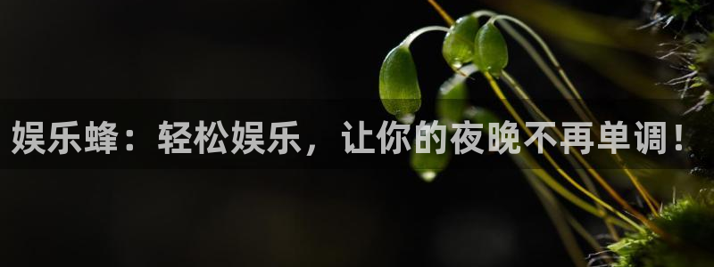 恒行体育代理：娱乐蜂：轻松娱乐，让你的夜晚不再单调！