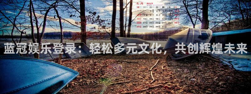 恒行体育平台登录入口：蓝冠娱乐登录：轻松多元文化，共创辉煌未来
