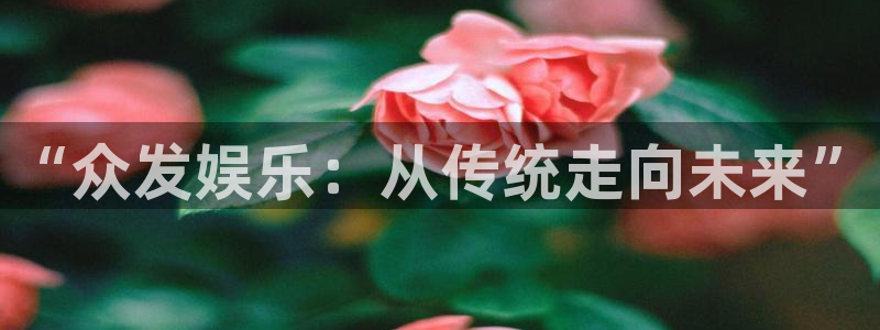 恒行体育代理：“众发娱乐：从传统走向未来”