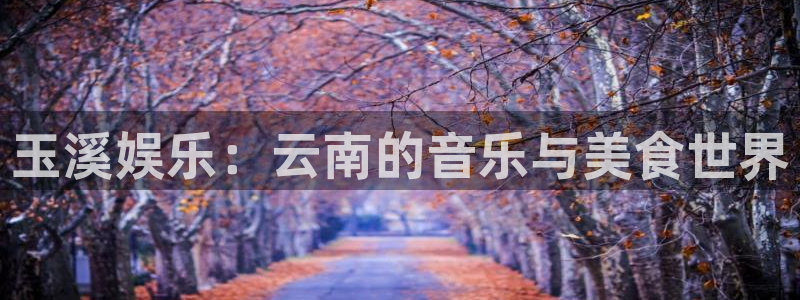 恒行4官网：玉溪娱乐：云南的音乐与美食世界