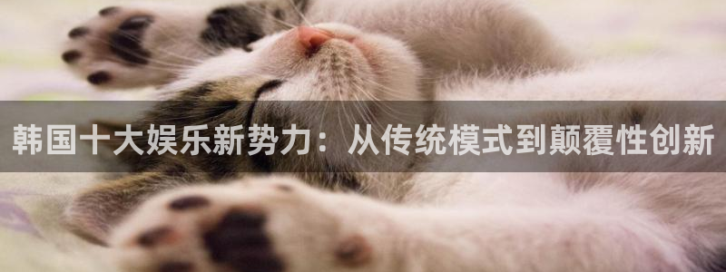 恒行2登录：韩国十大娱乐新势力：从传统模式到颠覆性创新