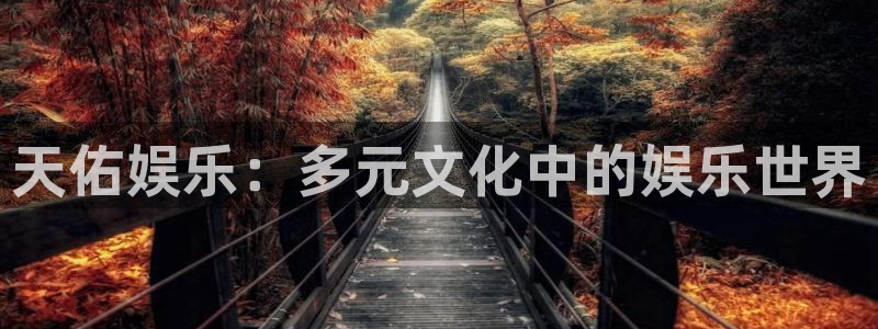 恒行vk：天佑娱乐：多元文化中的娱乐世界