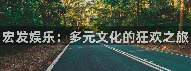 恒行体育老板是谁：宏发娱乐：多元文化的狂欢之旅