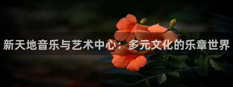 恒行体育1招商：新天地音乐与艺术中心：多元文化的乐章世界