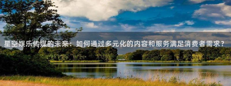 恒行体育网页版入口：星空娱乐传媒的未来：如何通过多元化的内容和服务满足消费者需求？