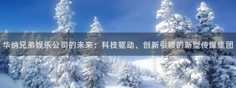 恒行体育4：华纳兄弟娱乐公司的未来：科技驱动、创新引领的新型传媒集团