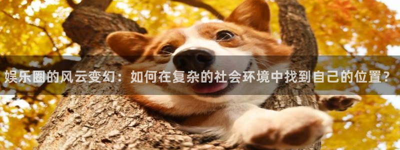 恒行3登录：娱乐圈的风云变幻：如何在复杂的社会环境中找到自己的位置？