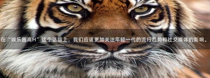 佛山市南海恒行机电仪器有限公司：在“娱乐圈高H”这个话题上，我们应该更加关注年轻一代的流行趋势和社交媒体的影响。