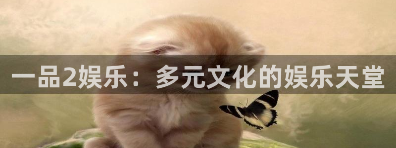 恒行平台招商：一品2娱乐：多元文化的娱乐天堂