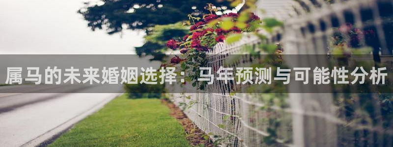 福建恒行机电股份公司：属马的未来婚姻选择：马年预测与可能性分析