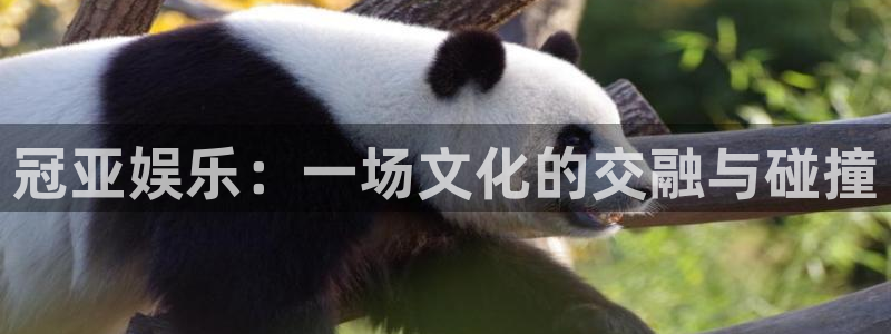 恒行登录注册：冠亚娱乐：一场文化的交融与碰撞
